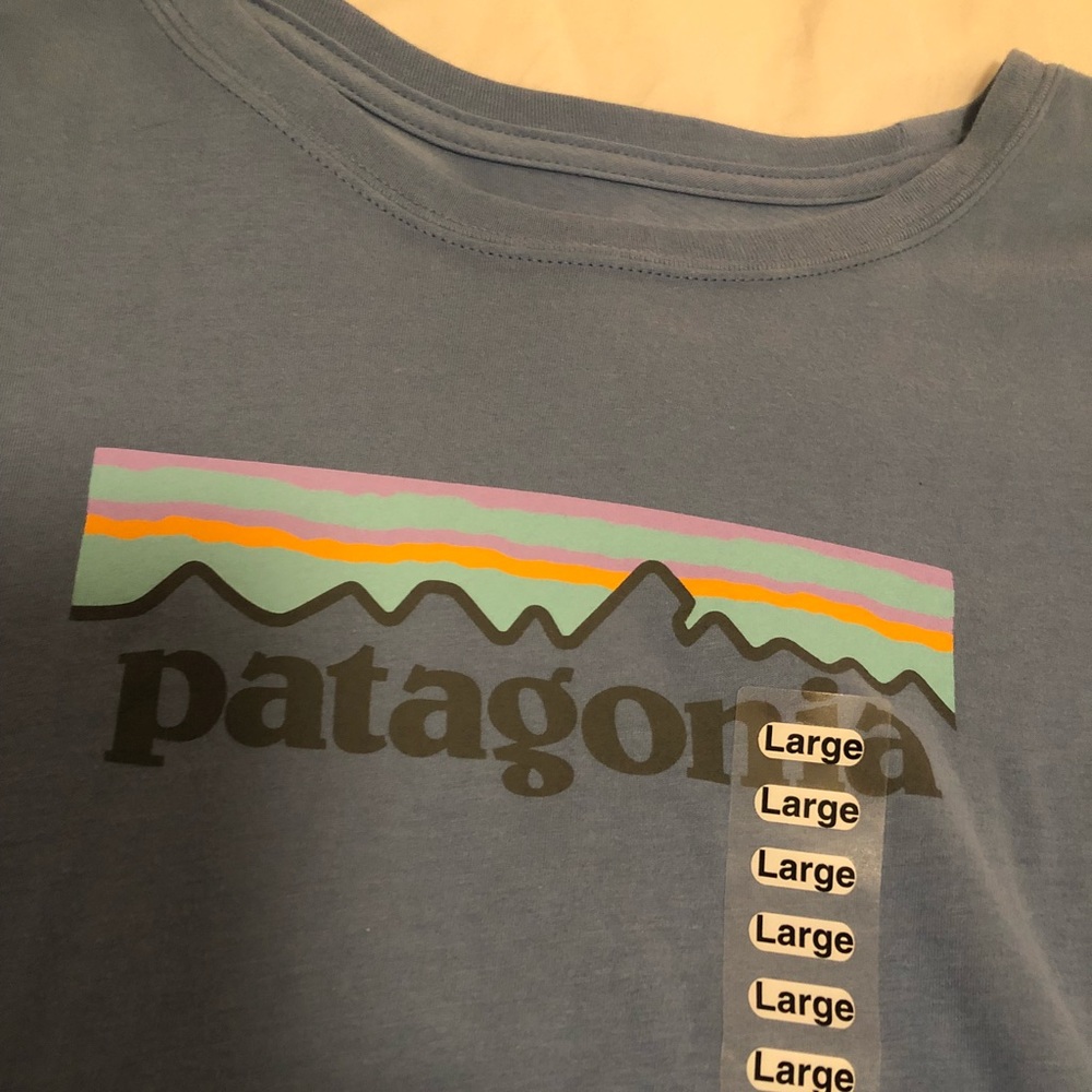 NWOT Patagonia T-Shirt